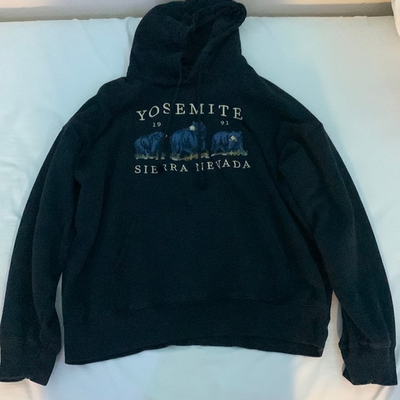 PacSun Sweaters - John Galt Navy Christy Yosemite Hoodie